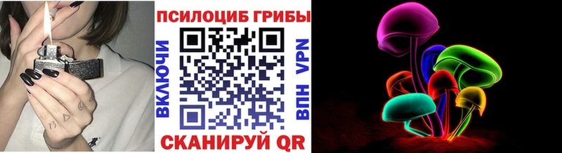 hydra сайт  Камышин  Галлюциногенные грибы Psilocybe 
