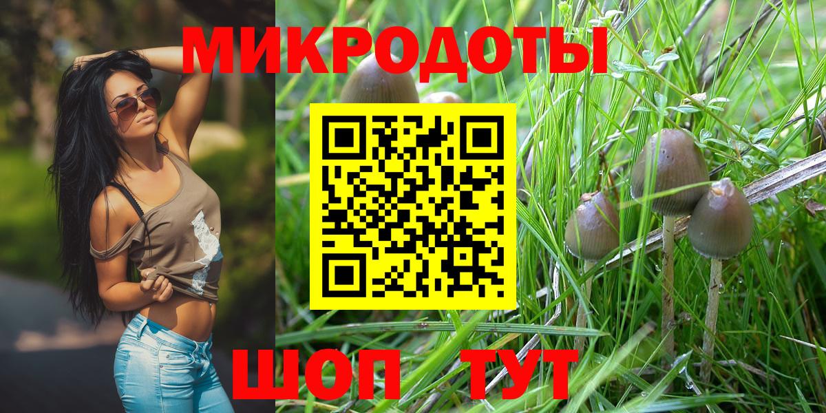 Псилоцибиновые грибы Magic Shrooms  Псилоцибиновые грибы мицелий  как найти   Камышин  Вход с VPN 